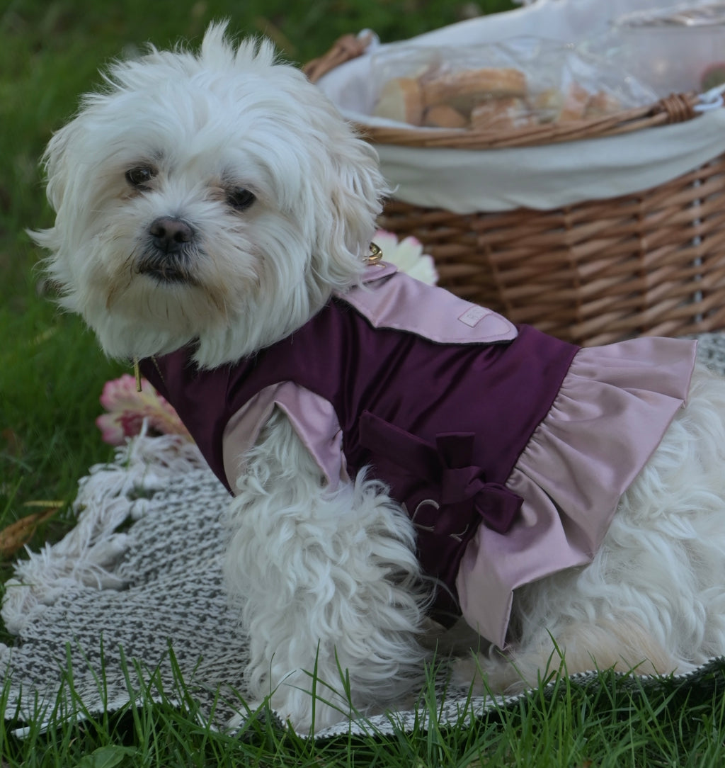Doggywarmer