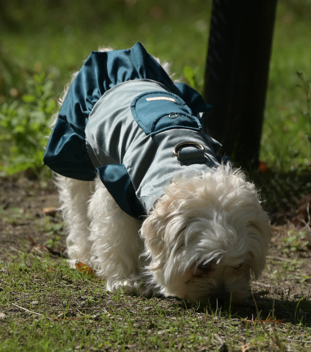 Doggywarmer